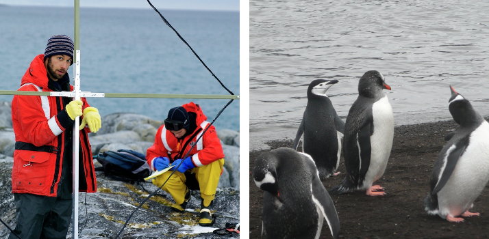 Image dan_and_pinguinos_2