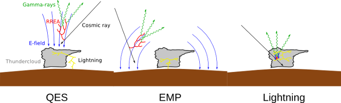 Image tgfphyscartoon_combined